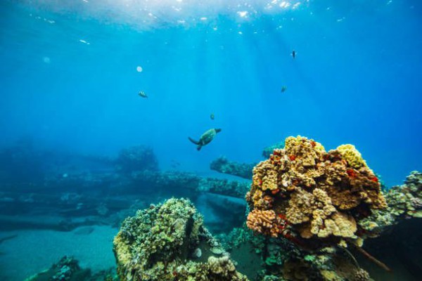 Peneliti Temukan Gunung Bawah Laut, 4 Kali Tinggi Burj Khalifa