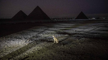 Misteri Ruang Hampa di Piramida, 4.500 Tahun Terkubur Rapat