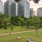Hutan Kota: Oase Hijau di Tengah Hiruk Pikuk Perkotaan