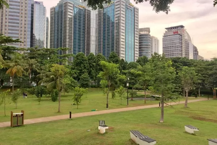 Hutan Kota: Oase Hijau di Tengah Hiruk Pikuk Perkotaan