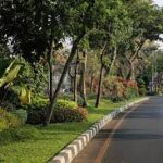 Surabaya, kota yang hijau dan rindang. Banyaknya pepohonan dan hutan kota, membuat Surabaya lebih sejuk. Beneran gak nih? Coba deh cek foto