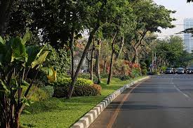Surabaya, kota yang hijau dan rindang. Banyaknya pepohonan dan hutan kota, membuat Surabaya lebih sejuk. Beneran gak nih? Coba deh cek foto