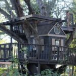 10 Rumah Pohon Paling Unik di Dunia, Punya Indonesia Keren Banget!
