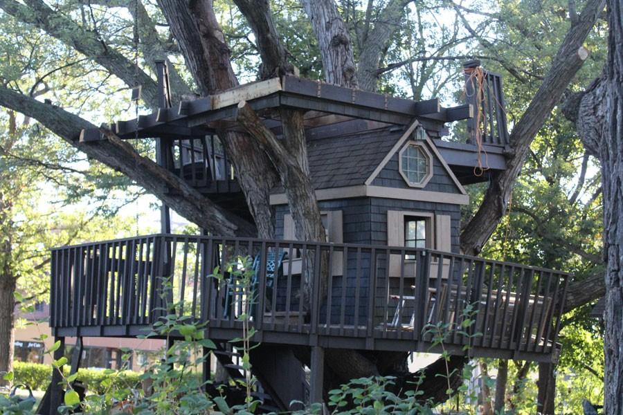 10 Rumah Pohon Paling Unik di Dunia, Punya Indonesia Keren Banget!