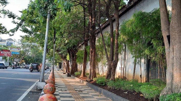 Pemkot Semarang Sudah Tanam 10 Ribu Lebih Pohon, Setiap Kawasan Ditanam Jenis Berbeda